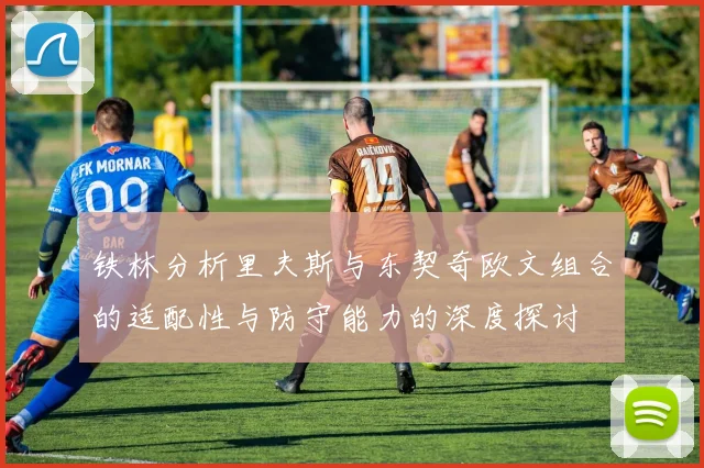 铁林分析里夫斯与东契奇欧文组合的适配性与防守能力的深度探讨