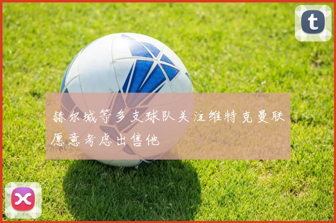 赫尔城等多支球队关注维特克曼联愿意考虑出售他